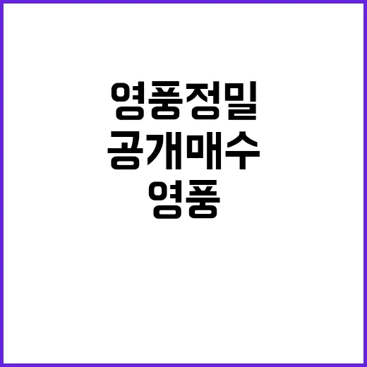 자사주 논란의 중심 영풍정밀 공개매수!