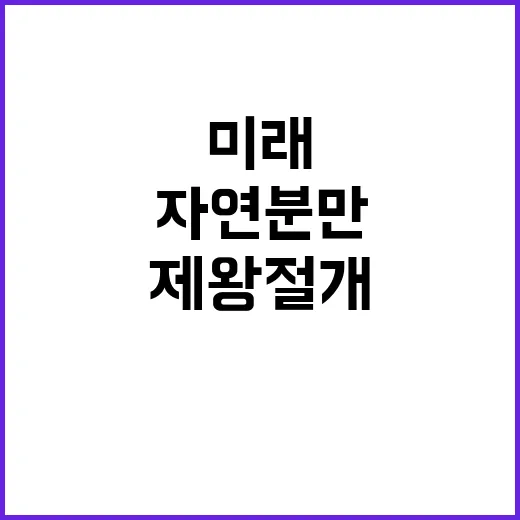 제왕절개 증가 자연분만 감소 미래는?