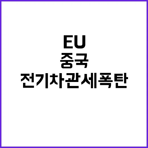 EU 전기차 관세 폭탄 중국 자동차 위기!