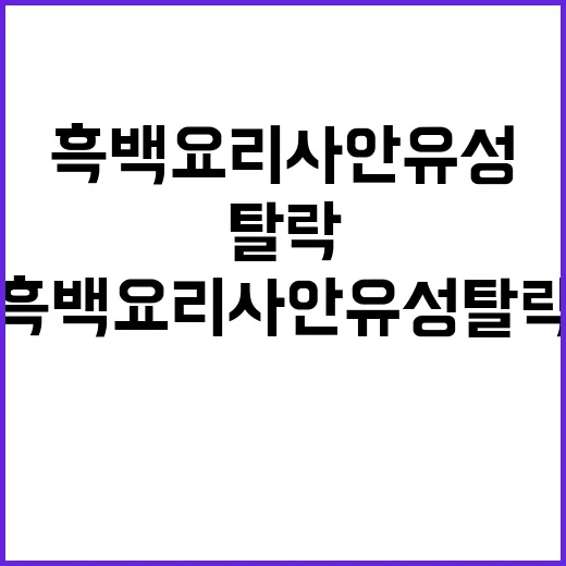 흑백요리사 안유성 …