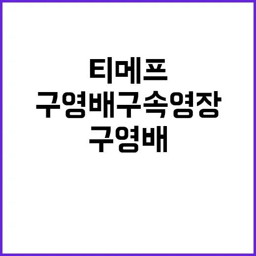 구영배 구속영장 티메프 수사의 갈림길?