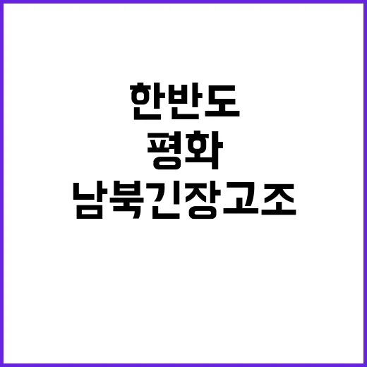 평화 남북 긴장 고조! 한반도 미래는?