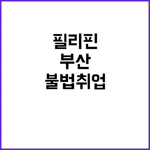 필리핀 근로자 검거 부산 불법 취업 스캔들