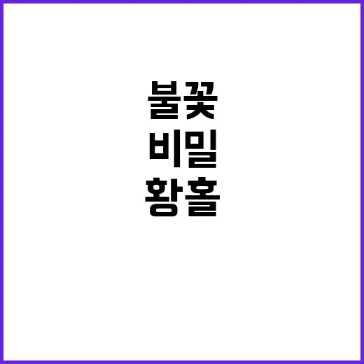 불꽃다발의 마법 밤…