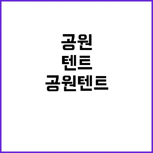 공원 텐트 열풍의 비밀 사람들의 이유!