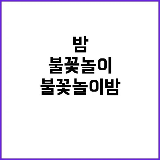 불꽃놀이 밤 인파 속의 마법 같은 순간