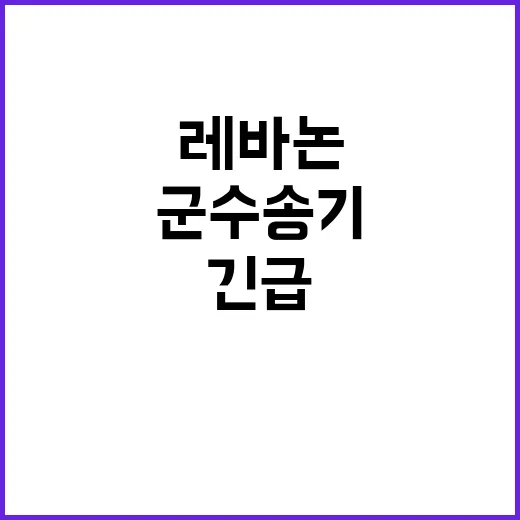 레바논 국민 귀국 …