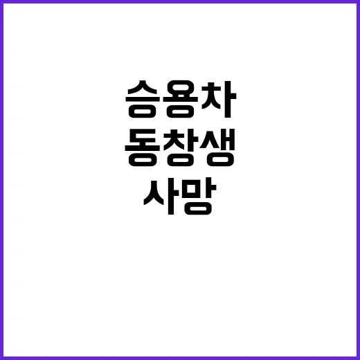 승용차 사고 동창생…