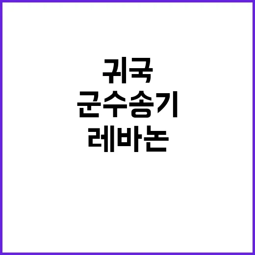 레바논 대피 국민 …