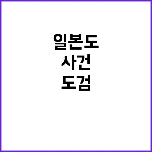 은평 일본도 사건 도검 1만3천정 취소!