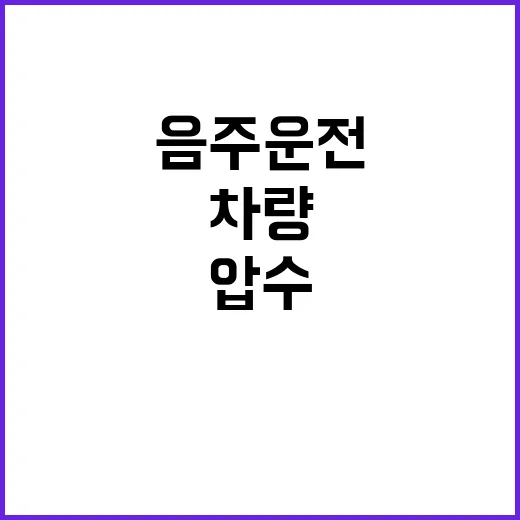 음주운전 범죄 증가…