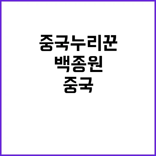 백종원 중국 누리꾼…