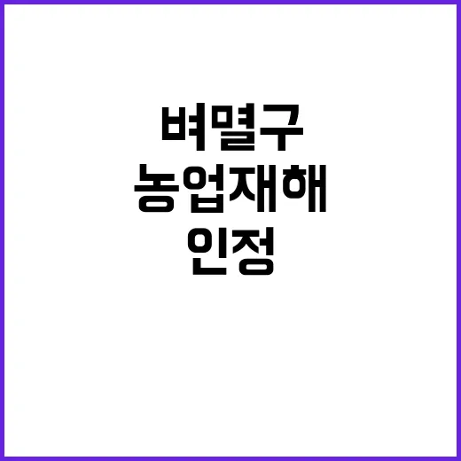 벼멸구 농업재해 인정? 농식품부 결정의 행방은?