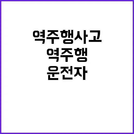 역주행 사고 외국인 운전자 사건의 충격적 결과!