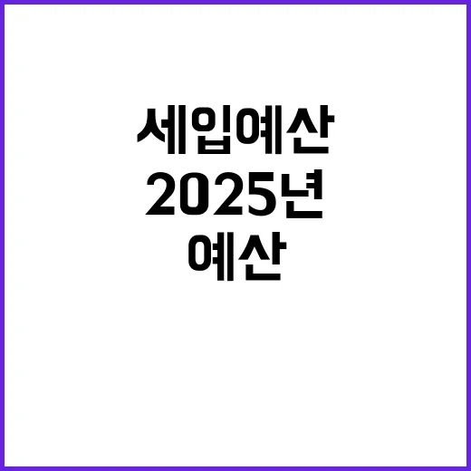 기재부 발표 2025년 세입 예산의 핵심 변화!