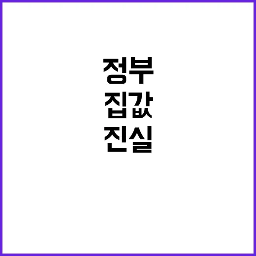 집값 상승 진실 현…