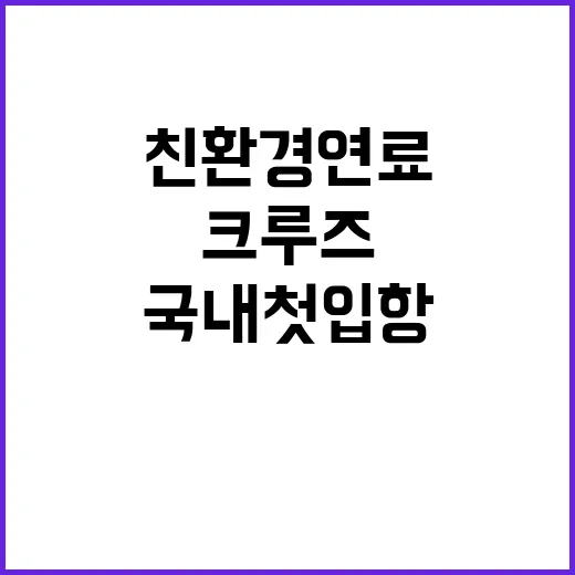 친환경연료 크루즈 …