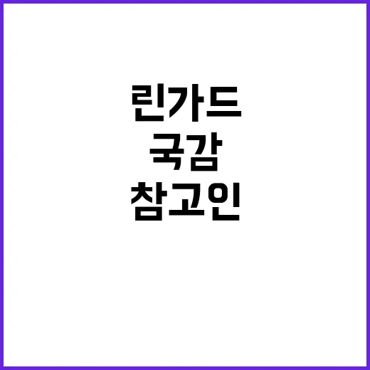 린가드 참고인 국감…