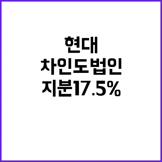 현대차 인도법인 IPO 매각 지분 17.5%의 비밀!