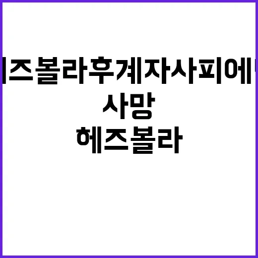 헤즈볼라 후계자 사피에딘 사망 중동 긴장 고조