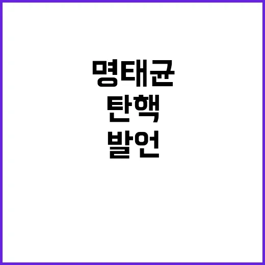 명태균 발언 대통령…