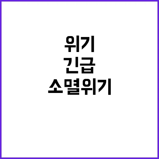 제주어 소멸 위기!…