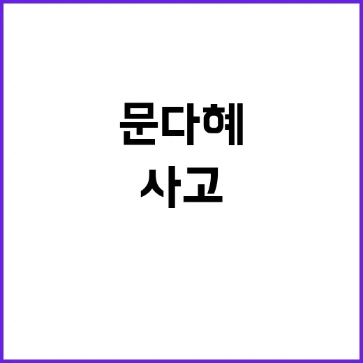 문다혜 차 사고 택…