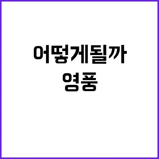 MBK 고연·영풍 주가 향방 어떻게 될까?