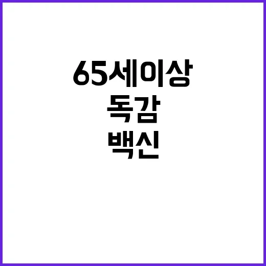 코로나 백신 독감 예방... 65세 이상 집중 혜택!