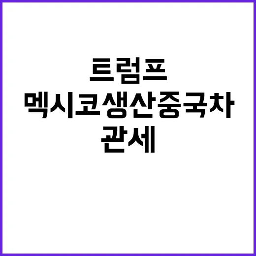 트럼프 관세 폭탄 멕시코 생산 중국차 운명은?