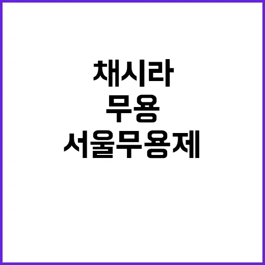 채시라 무용 데뷔 서울무용제 이목 집중