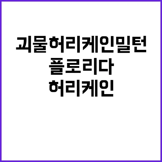 괴물 허리케인 밀턴 플로리다 대피령 발효