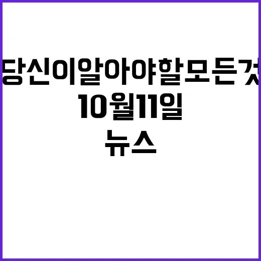 헤드라인 10월 11일 뉴스 당신이 알아야 할 모든 것!