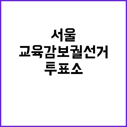 서울 교육감 보궐선거 투표소 현장 포착!