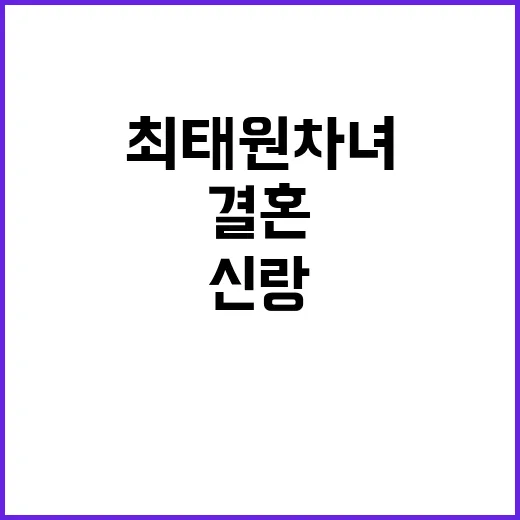 최태원 차녀 결혼 미 해병대 장교 신랑의 정체?