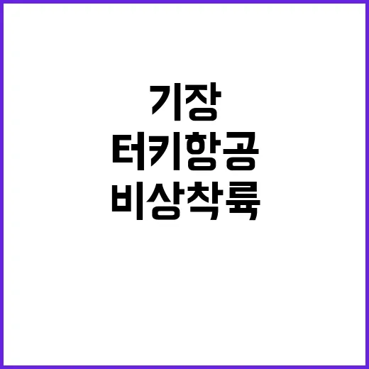 비행기 비상착륙 터…