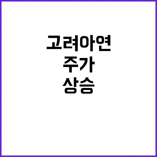 고려아연 이사회 결…