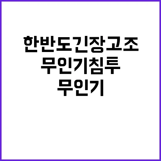 무인기 침투? 한반…