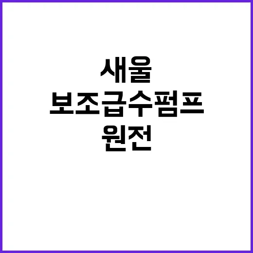 새울 원전 안전성 논란 종결 보조급수펌프 완벽 검증!