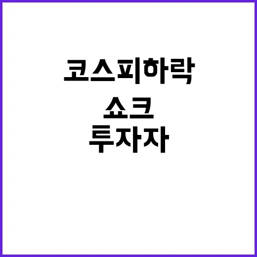 코스피 하락 투자자…