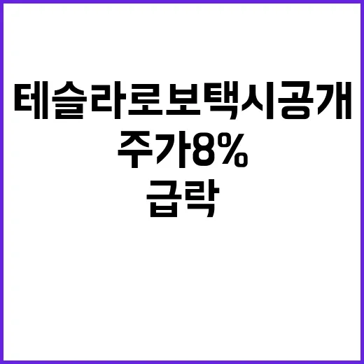 테슬라 로보택시 공개 주가 8%대 급락 충격!