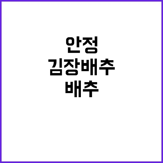 김장배추 공급 안정 가정 소비자 안심!