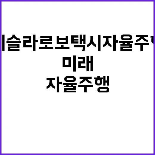 테슬라 로보택시 자율주행차의 미래 혁신 도전!