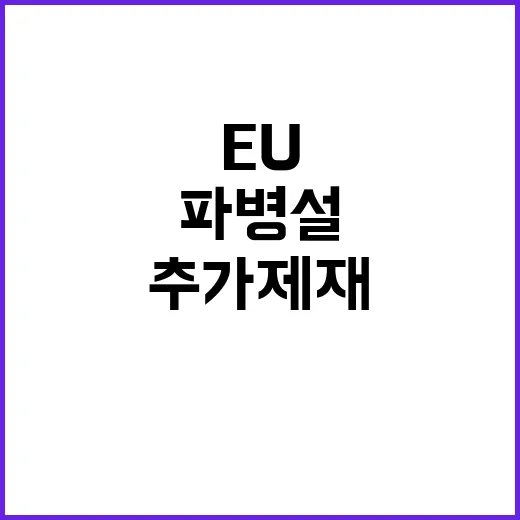 북한 러 파병설 EU의 추가 제재 경고