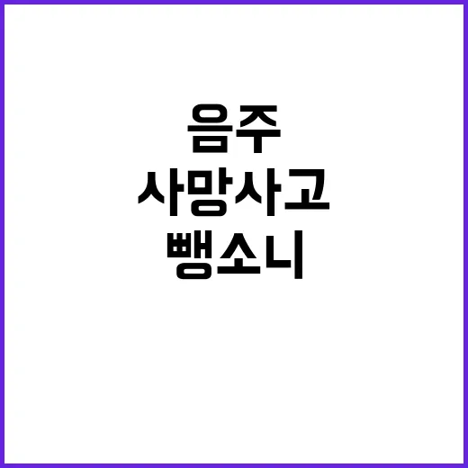 음주 뺑소니 10대…