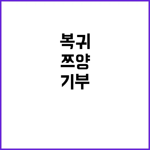 쯔양 복귀 기업 협…