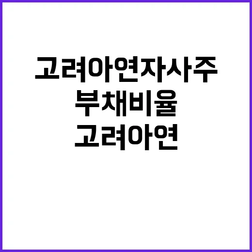 고려아연 자사주 매입 부채비율 급등 예고!