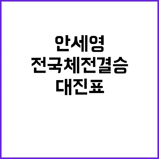 안세영 무릎 부상 전국체전 결승 대진표 변화!