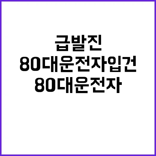 급발진 사고? 80대 운전자 입건! 진실은?