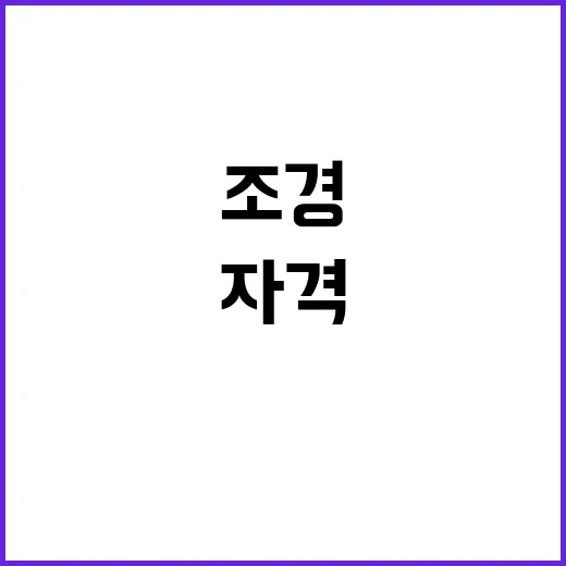 지게차부터 조경까지 은퇴 후 몸값 올리는 필수 자격!